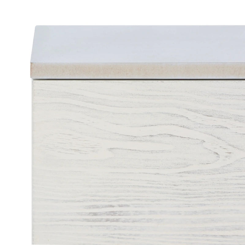 SAFAVIEH Lerke Media TV Stand - 54 W x 15.7 L x 19.7 H - 54Wx16Dx20H